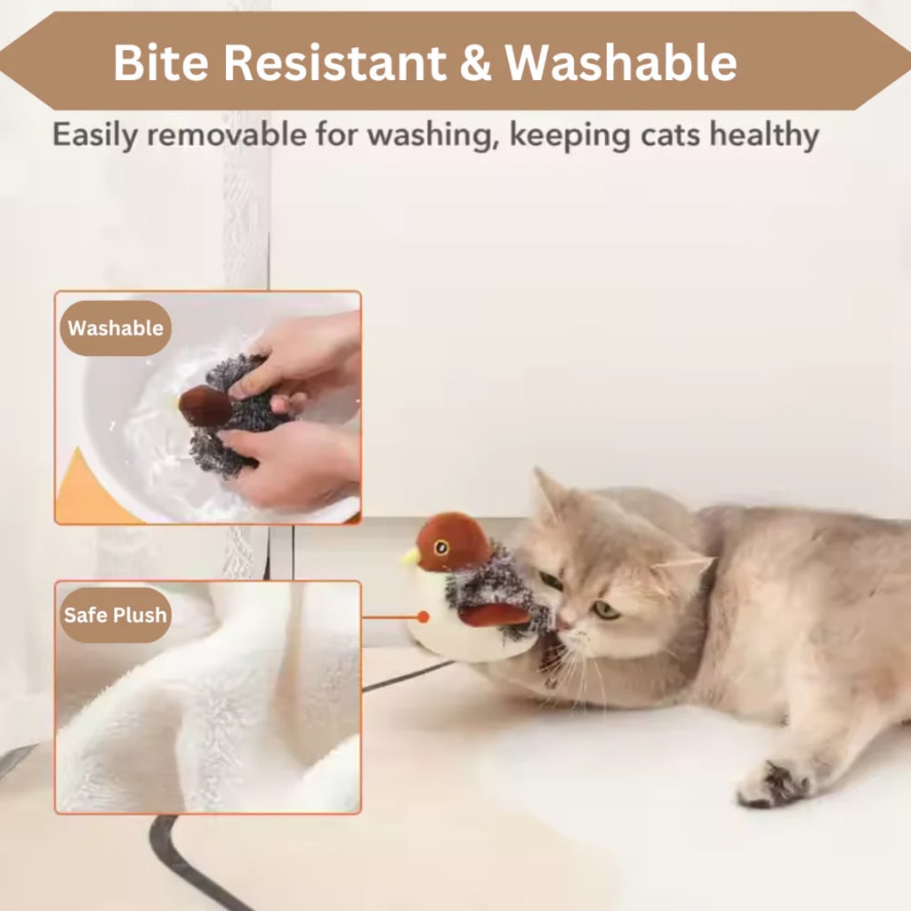 WhiskerWhimsy™ FeatherFlight